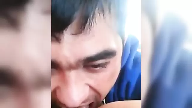 Özbek yalama Telka tarafından kameraya yakalandı