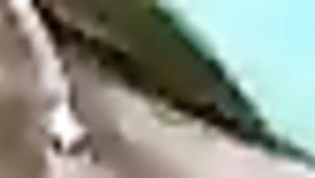 Güzel esmer, Özbek hatuna ağızla zevk veriyor.